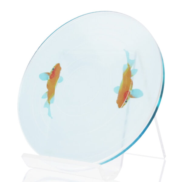 金魚　No.302　直径１０ｃｍ×厚さ５ｍｍ